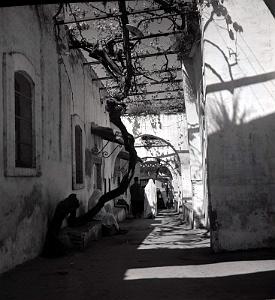Tlemcen 504- Rue dans vieux Tlemcen COLLECTION DES AMIS DE ND DE SANTA CRUZ